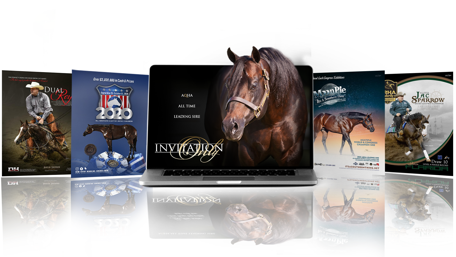 Award Winning Equine Graphic Design specializing in advertising, branding and web design