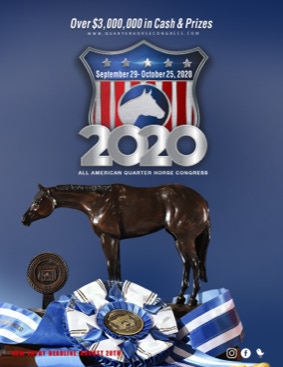 Pinto World Champion Equine Graphic Design