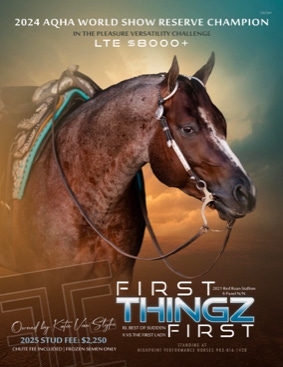 Enticed World Champion Hunter Under Saddle Stallion