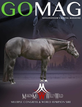 AQHYA World Champion Graphic Design