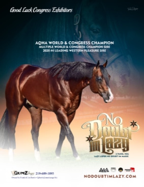 NDIL Top Western Pleasure Stallion
